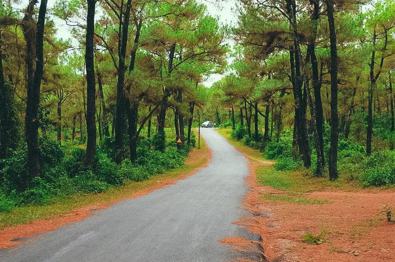 Thien An Hill